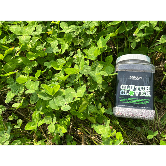 Domain Clutch Clover Seed 1/4 Acre