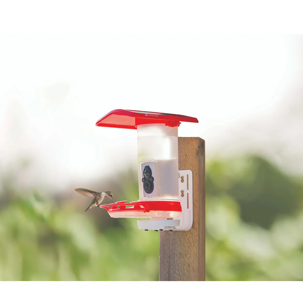 Tactacam Feathersnap Hummingbird Feeder Gen 1