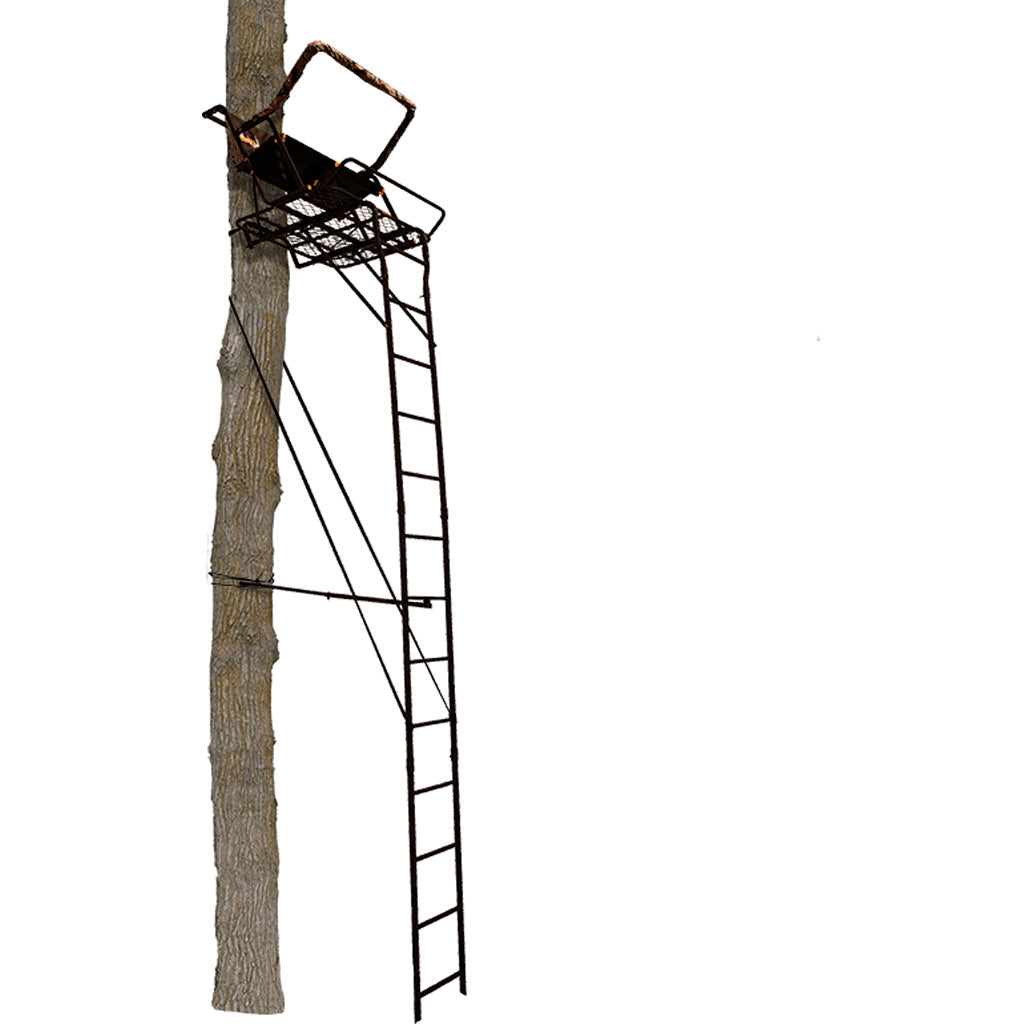 Muddy The Partner 17' - 2 Man Ladder