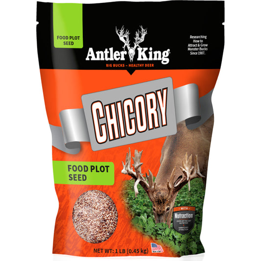Antler King Chicory 1/4 Acre