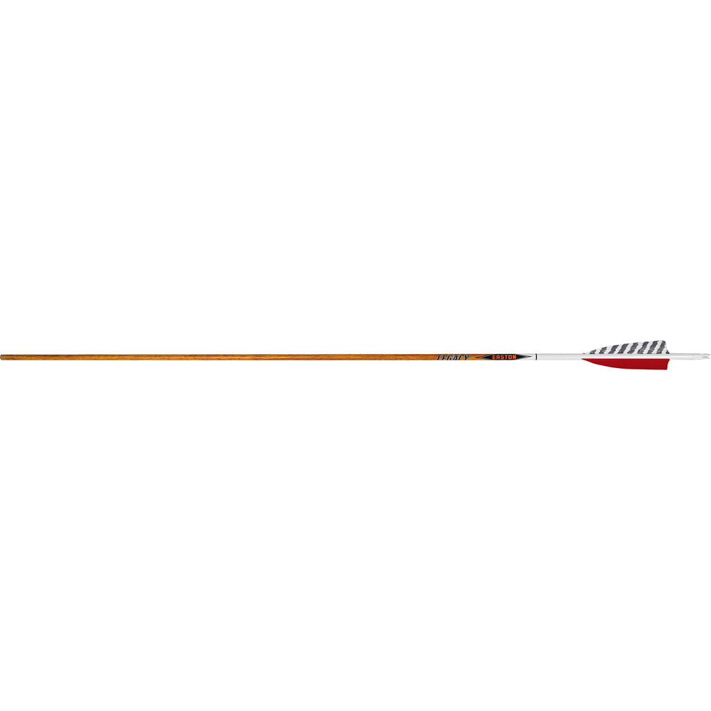 Easton Carbon Legacy Arrows 500 4 In. Feathers 6 Pk.
