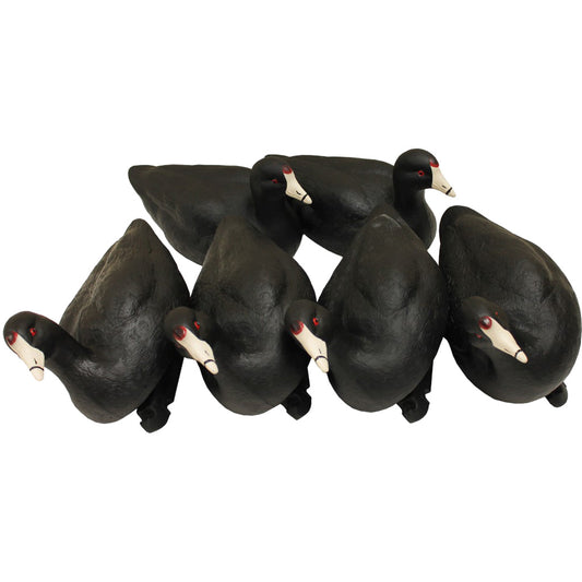 Mojo Coot Confidence Decoys 6 Pk.