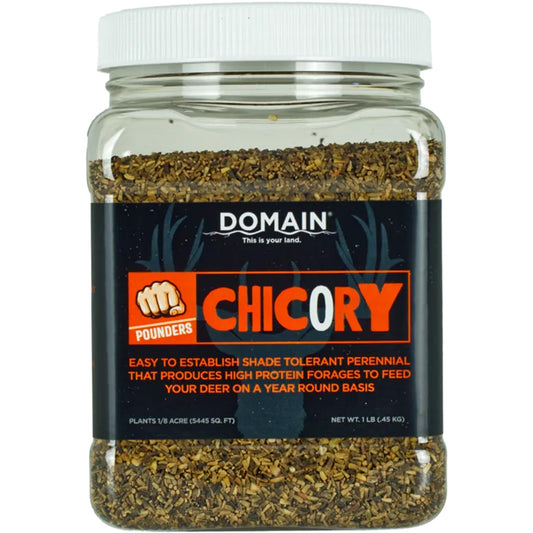 Domain Chicory Pounder Seed 1/8 Acre
