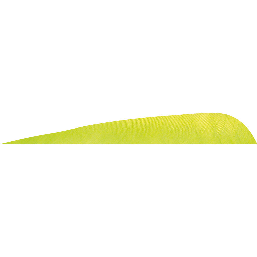 Gateway Parabolic Feathers Lemon Lime 4 In. Lw 50 Pk.