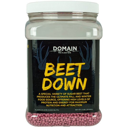 Domain Beet Down Seed 1/4 Acre
